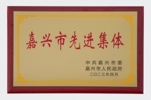 嘉興市先進集體